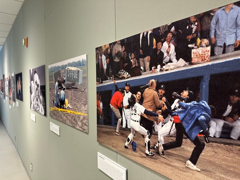 Photograph at an exhibition showing a brawl at a baseball game.